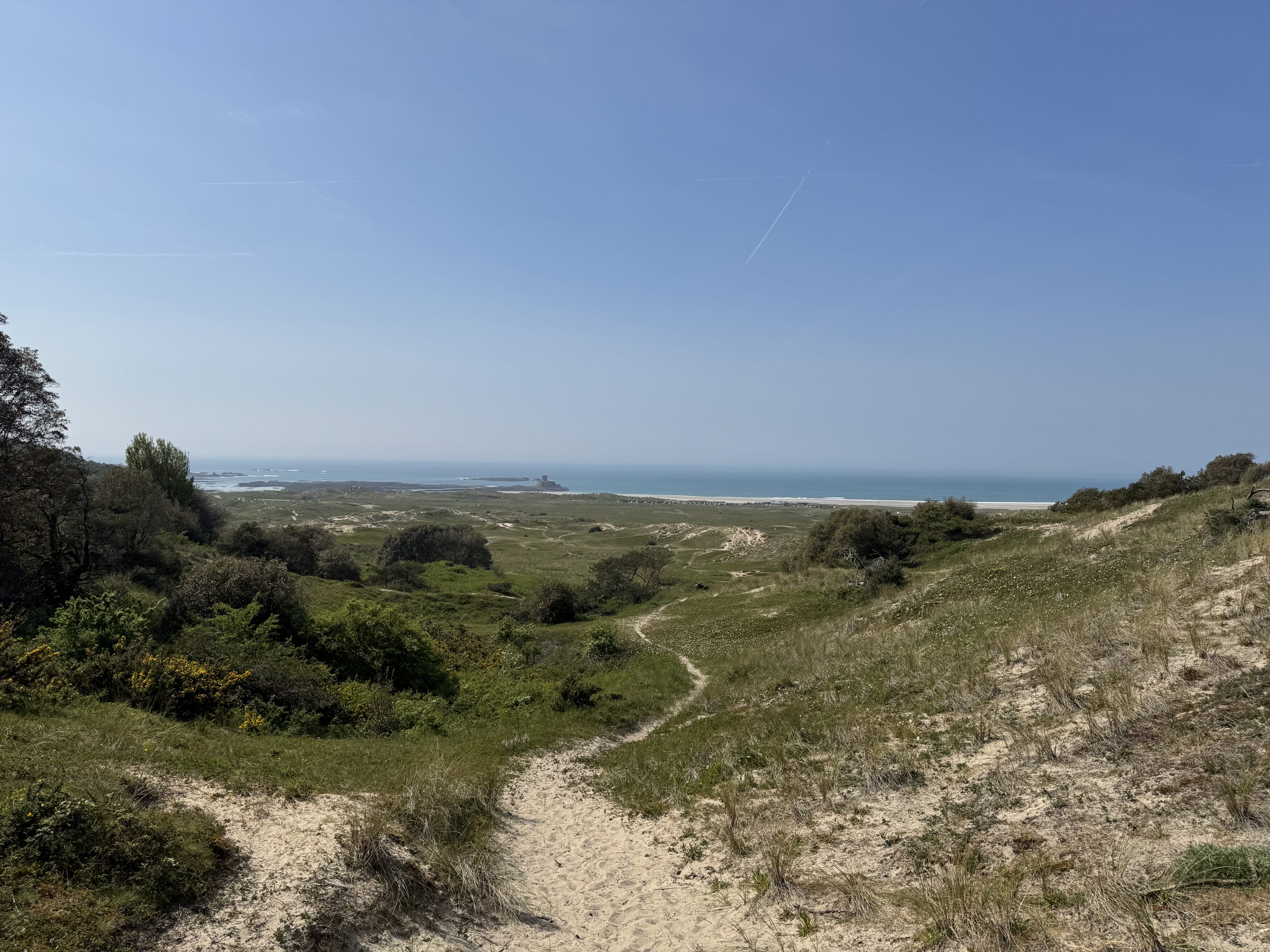 Mindful Meanders