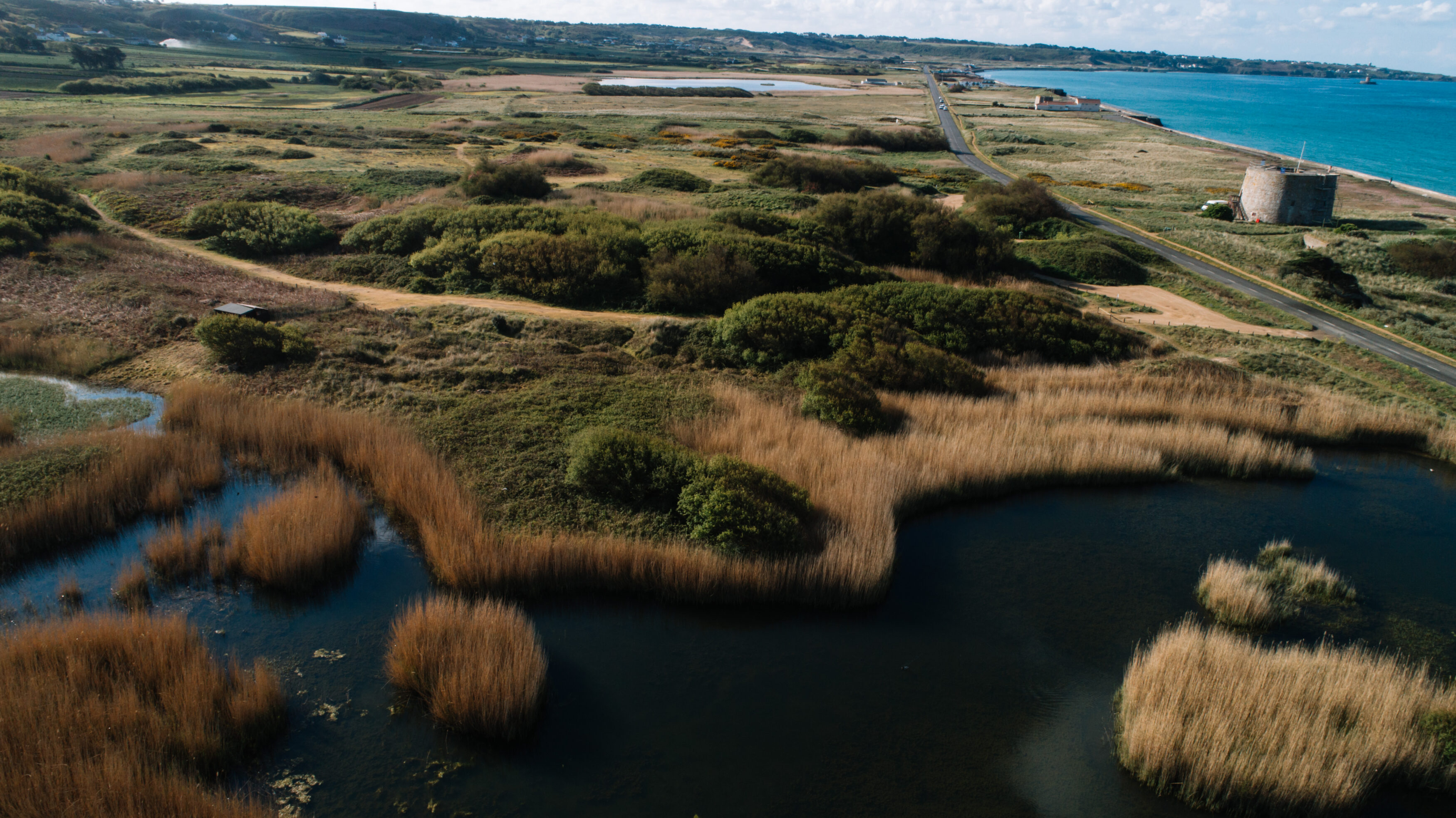 Wild & Coastal Food Foraging Experiences