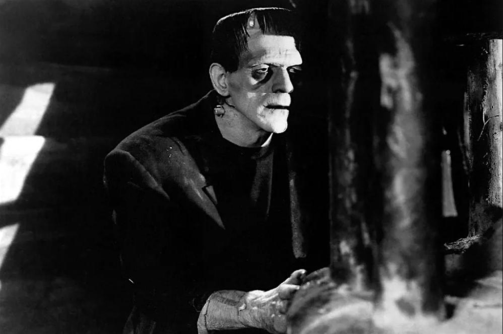 Frankenstein – More Than A Monster