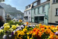 Colourful flowers in front of the green building that is the Seahorse coffee shop.