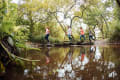 Family hoping over stepping stones in a stream at St. Catherine's Woods