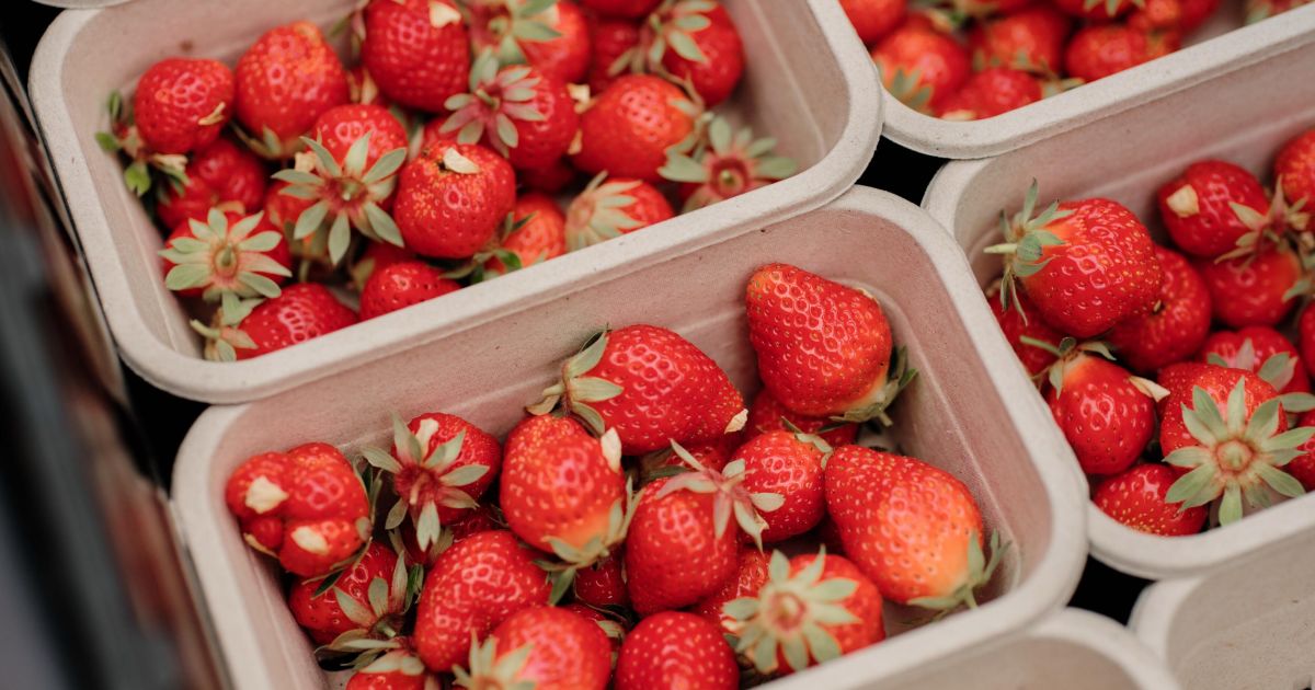 Jersey Farmers Market