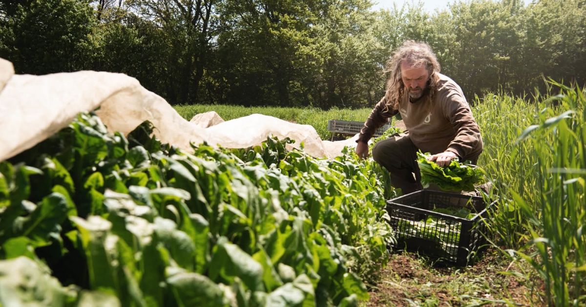 Open Farm Day: Jersey Zoo Farm