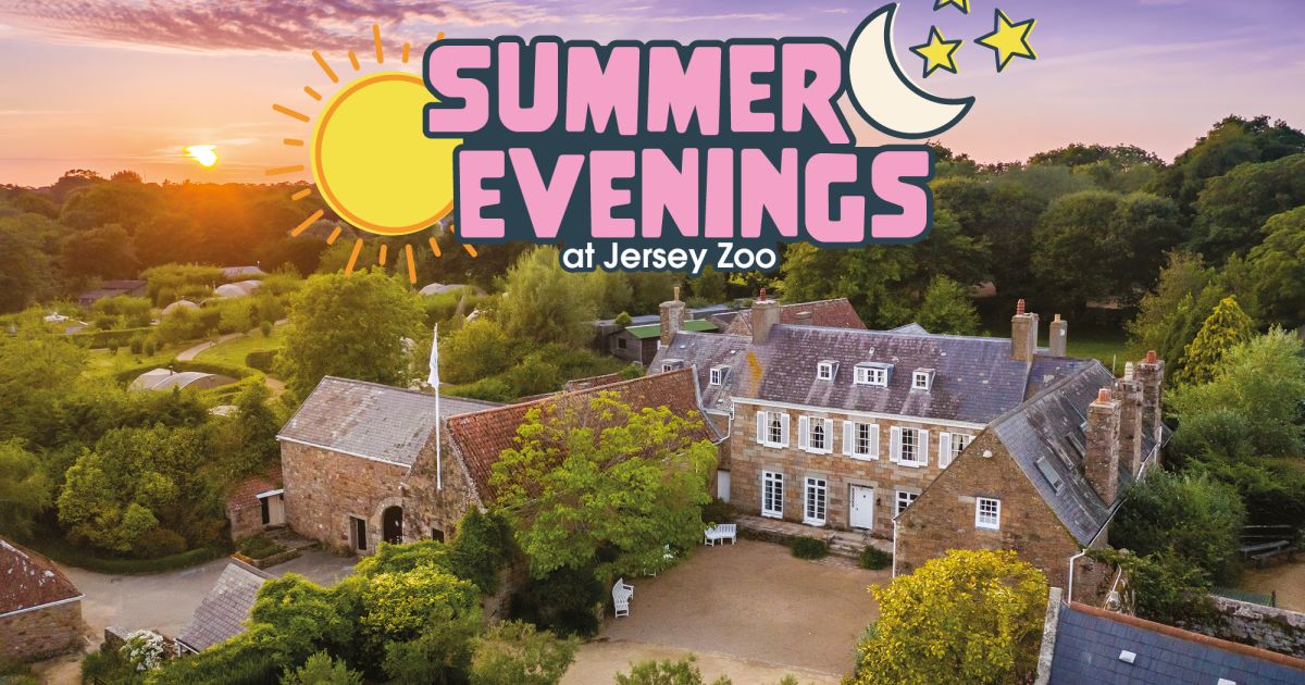 Summer Evenings at Jersey Zoo