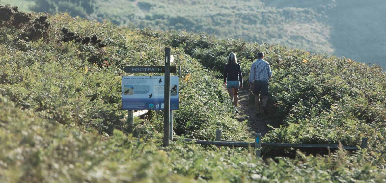 Birding Tours Jersey