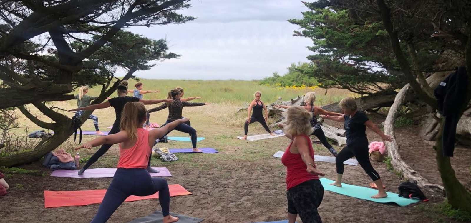 sunset yoga tree