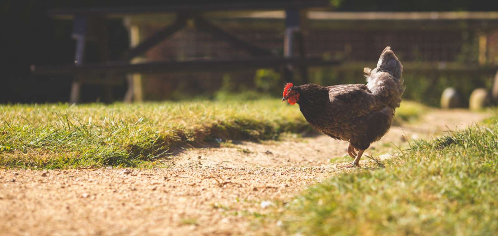 Hamptonne Farm Limited
