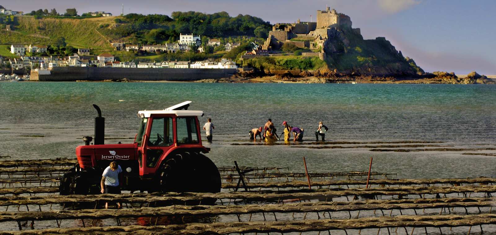 Jersey Oyster Company