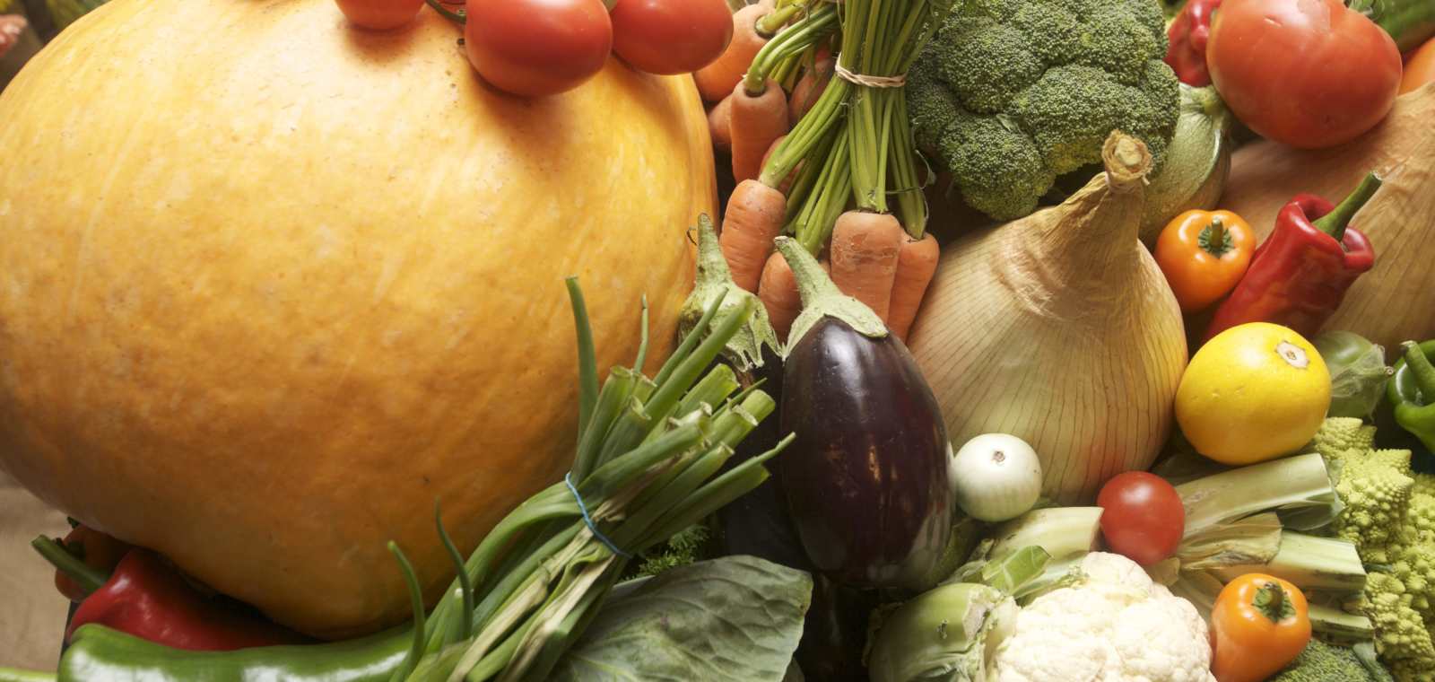 Woodside Farm Shop