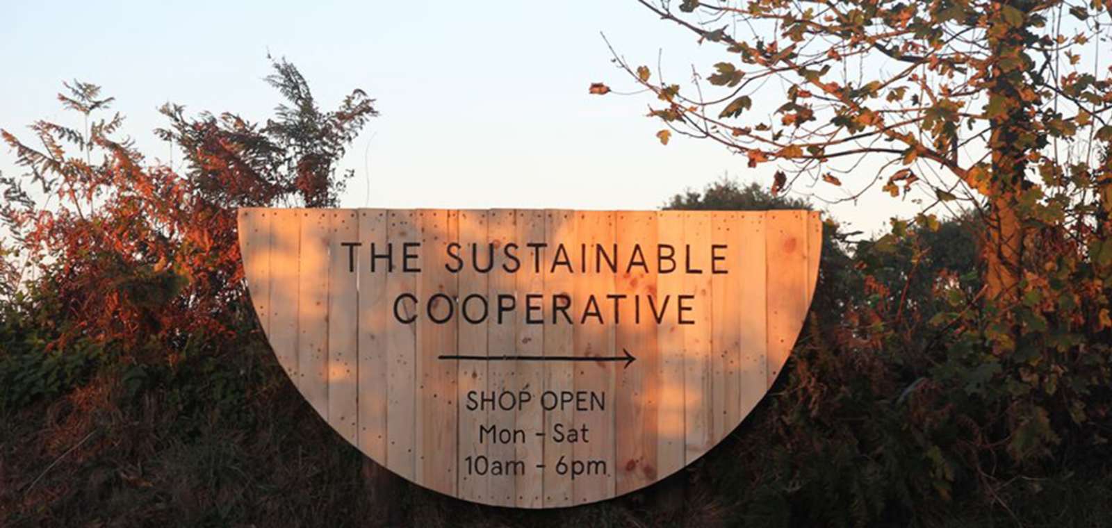 SCOOP The Sustainable Cooperative