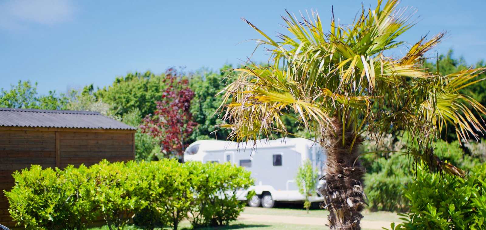 The Palms Campsite