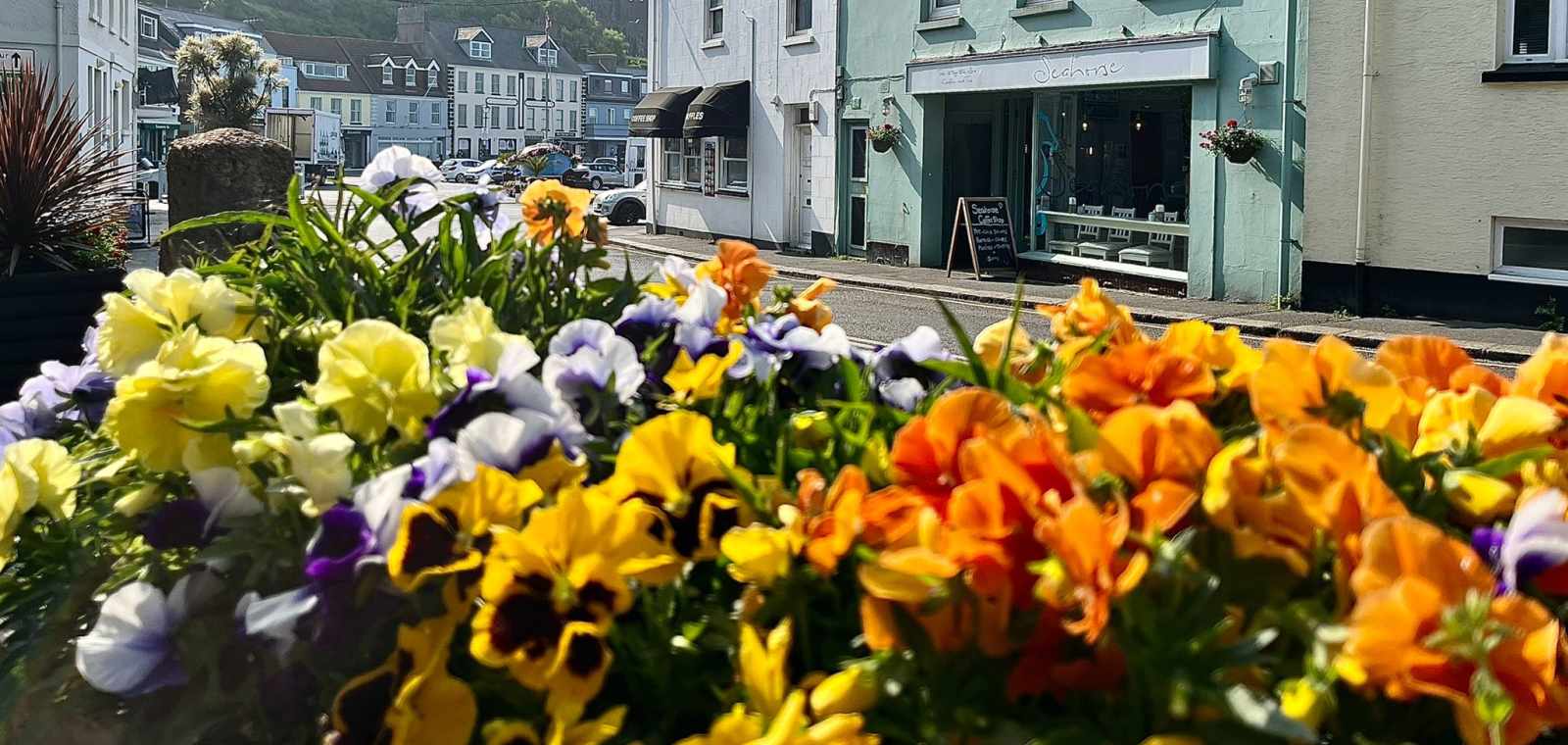 Colourful flowers in front of the green building that is the Seahorse coffee shop.