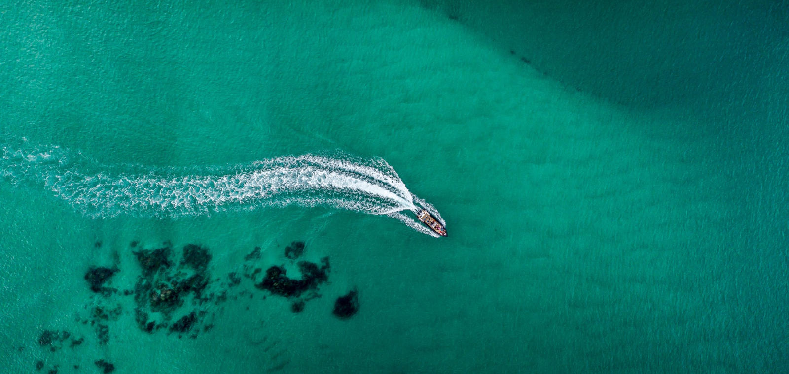 South Coast Seafari