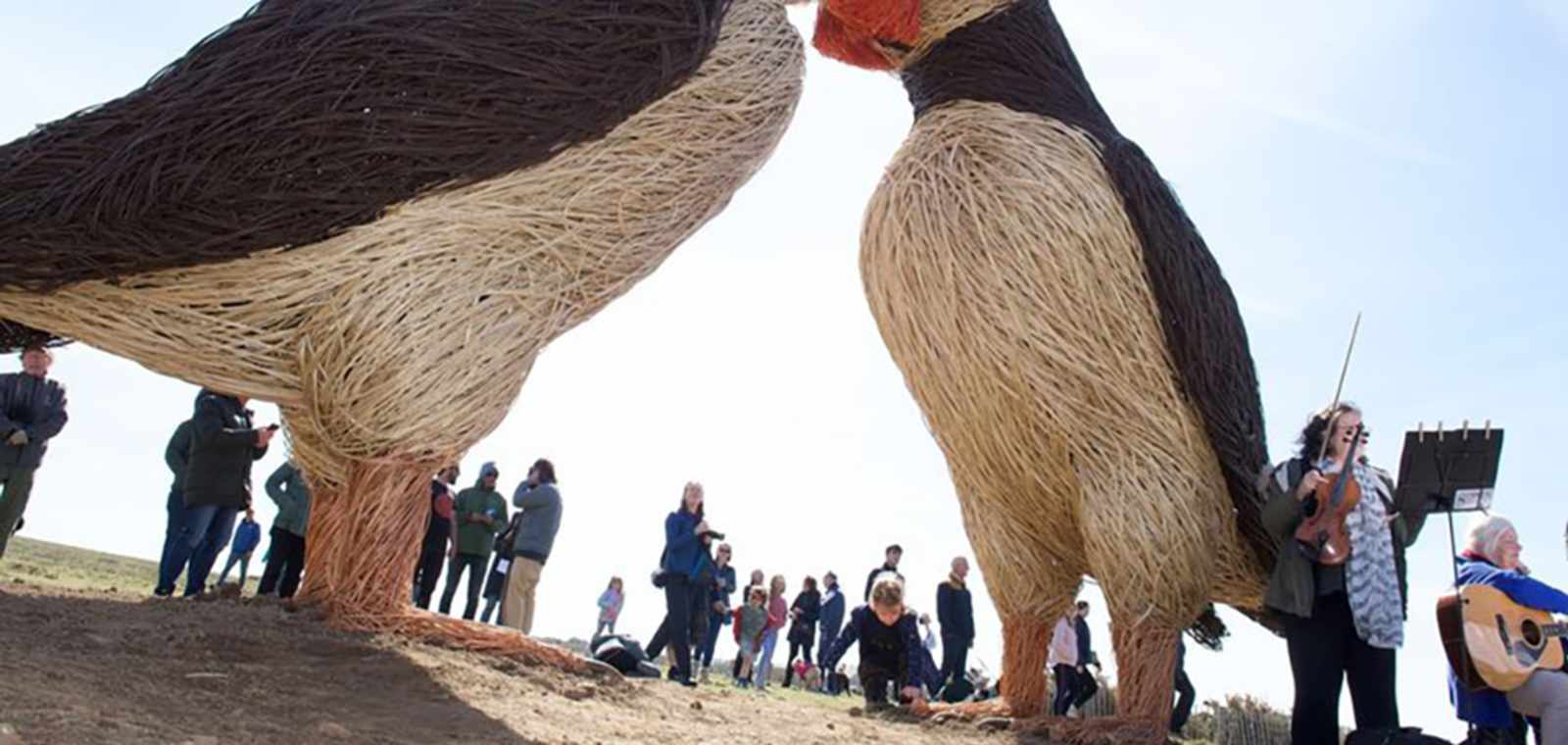 Puffin Sculpture