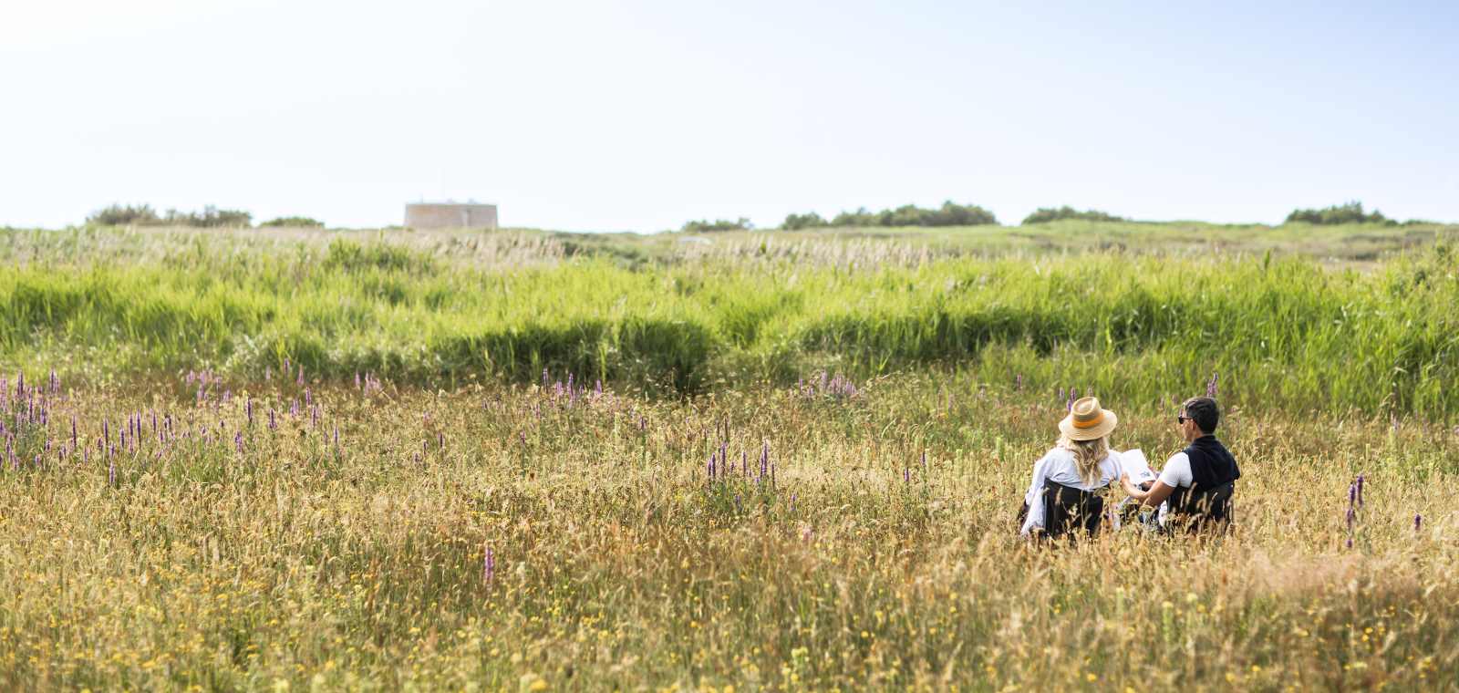 Orchid Fields at Le Noir Pré