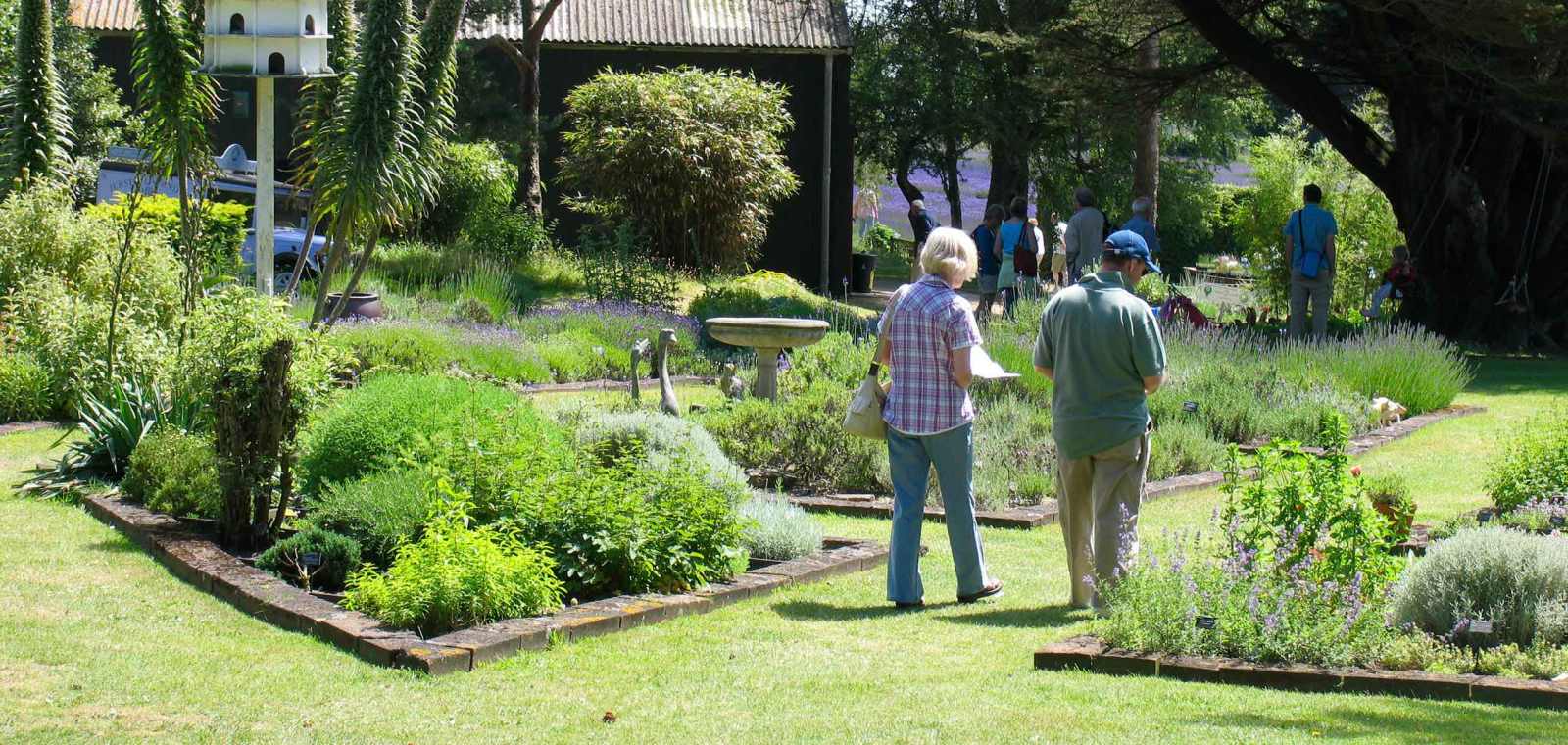 The grounds of Jersey Lavender