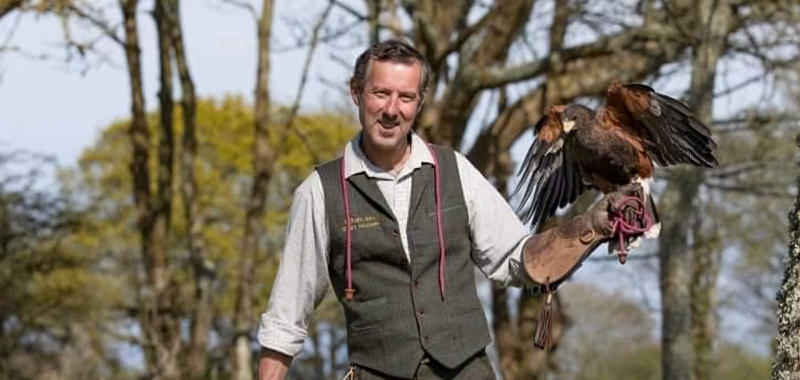 Jersey Falconry