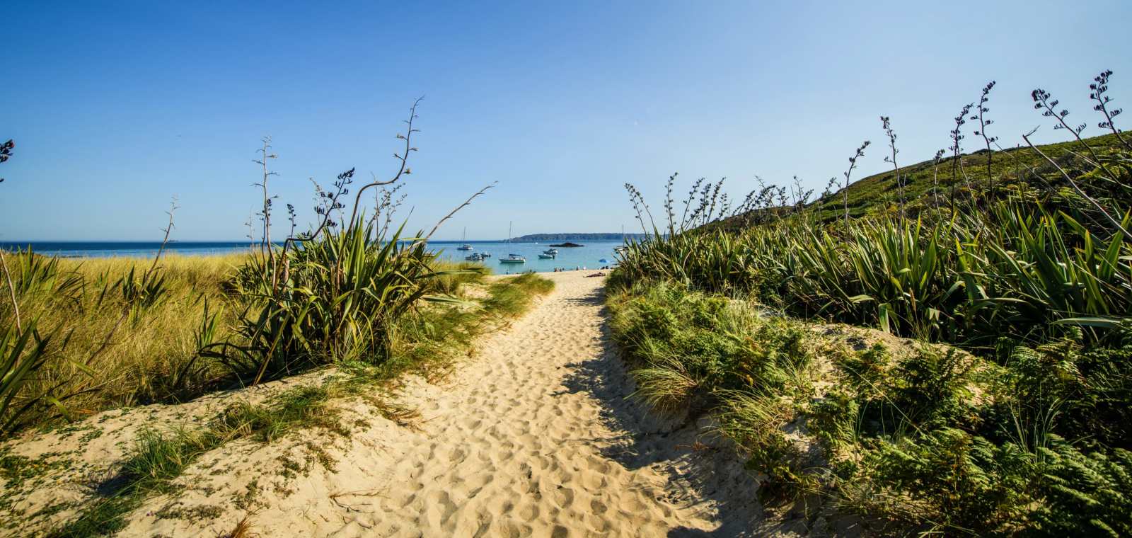 Herm Wilderness RIB Voyage