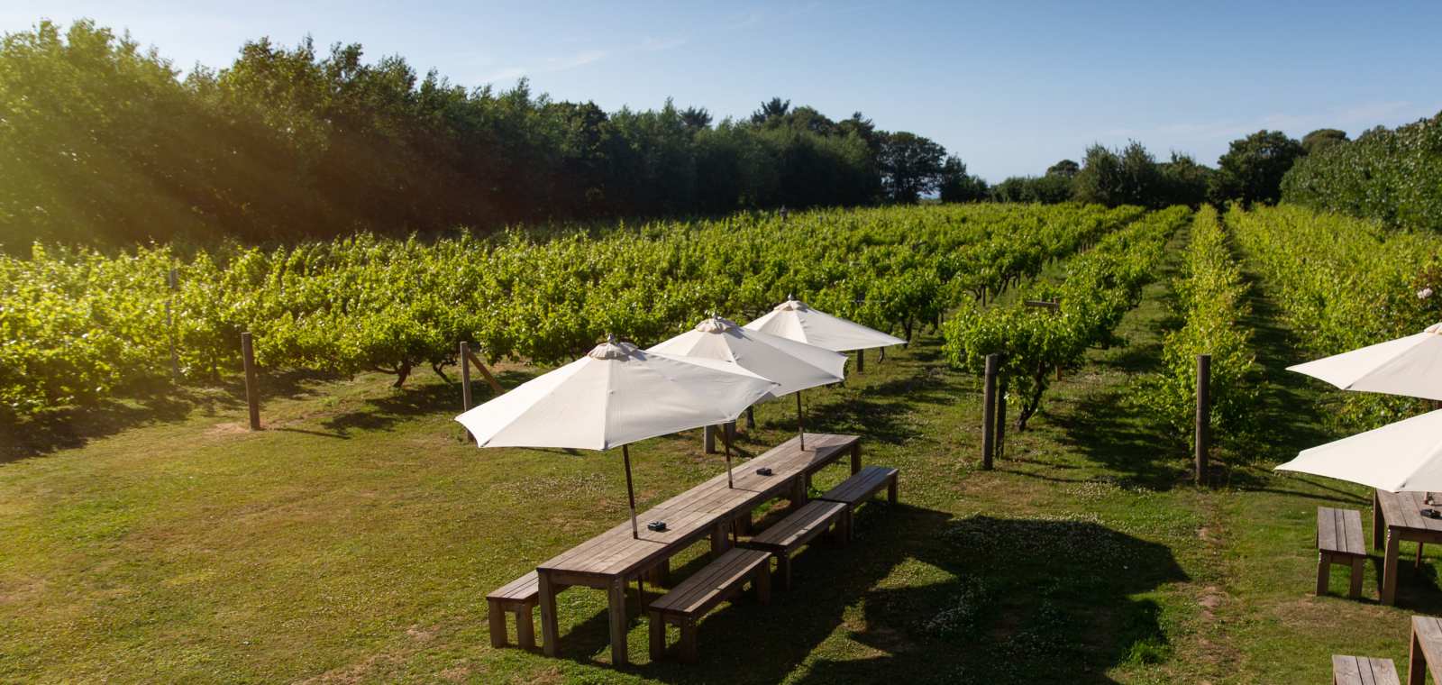 The Vineyard Café at La Mare Wine Estate