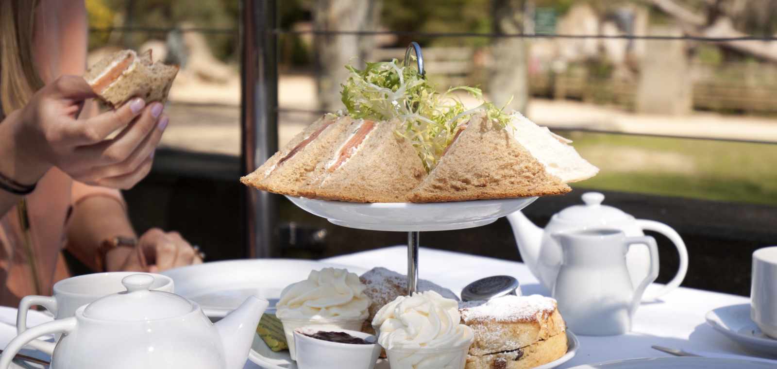 Café Firefly at Jersey Zoo