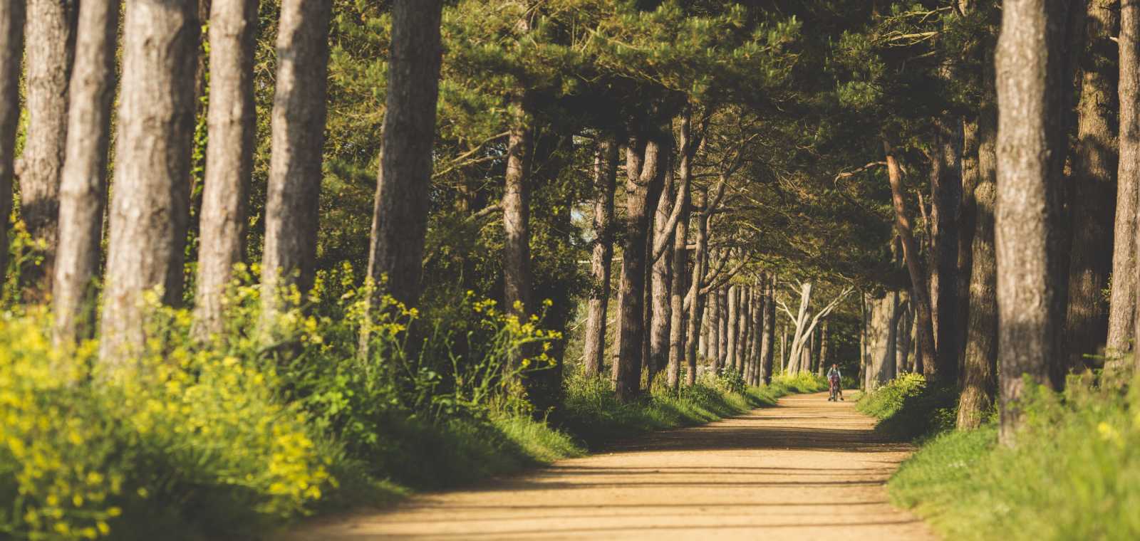 The Railway Walk