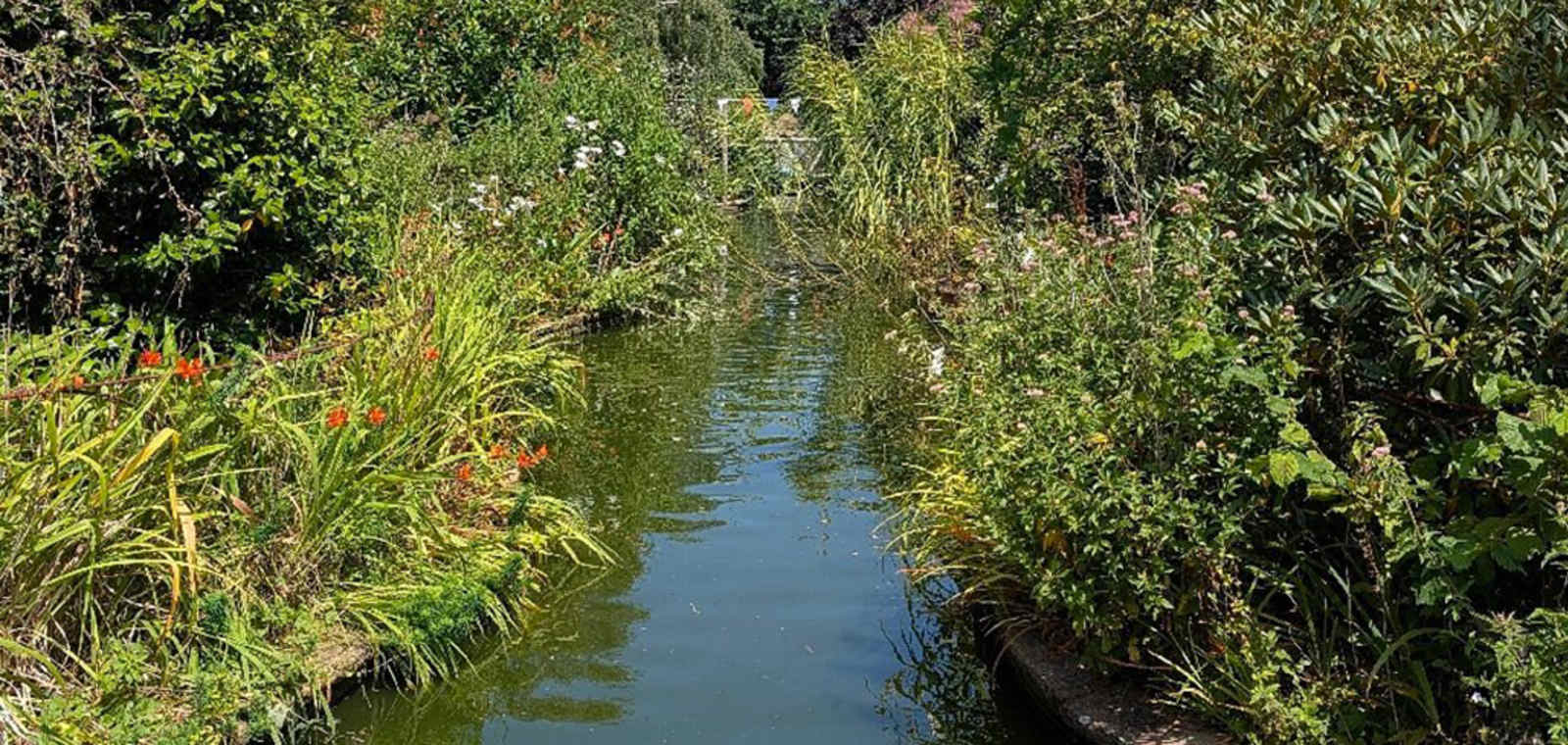 Reg’s Garden
