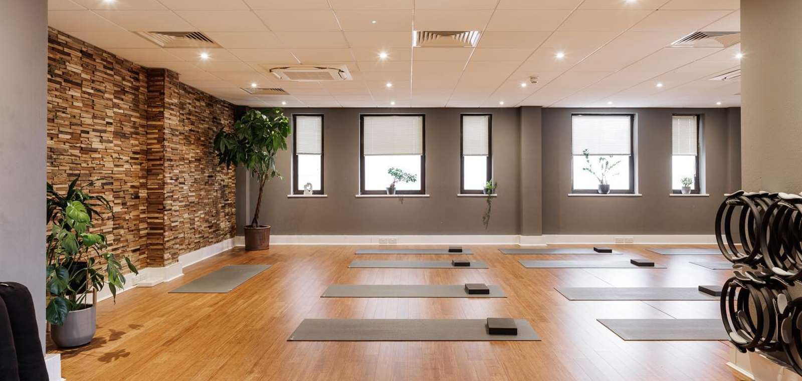 Daily Yoga & Pilates Classes