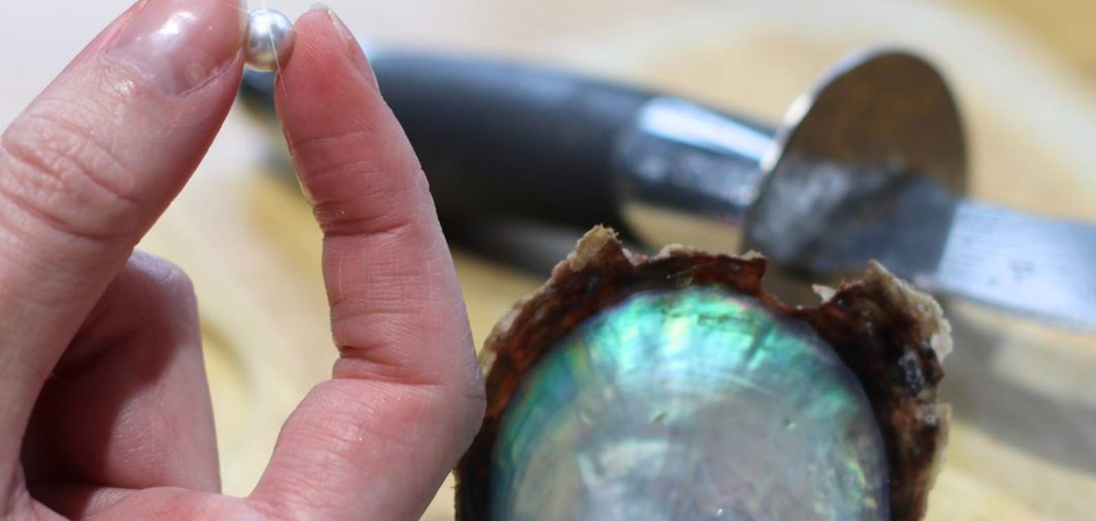 jersey pearl akoya pick a pearl