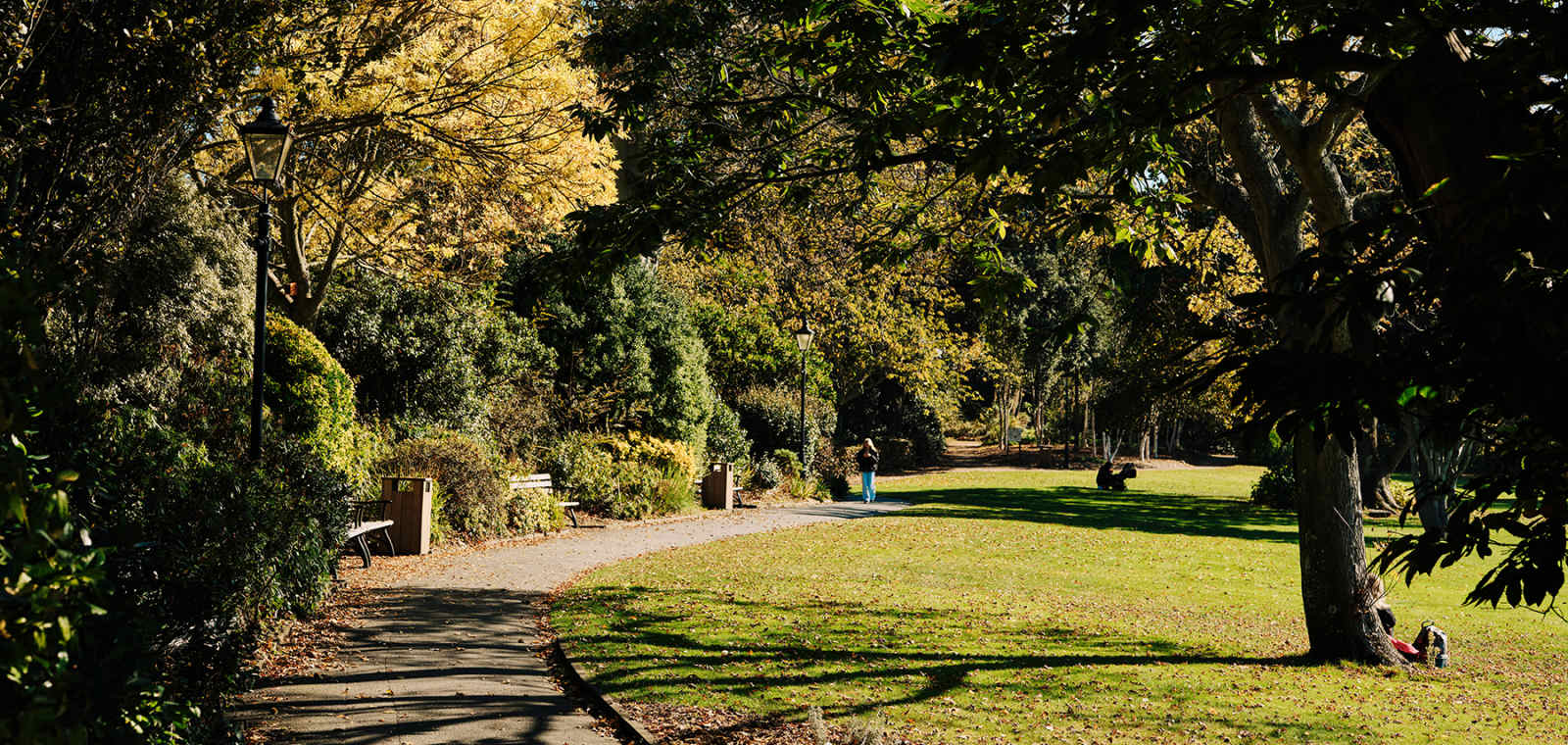 Howard Davis Park