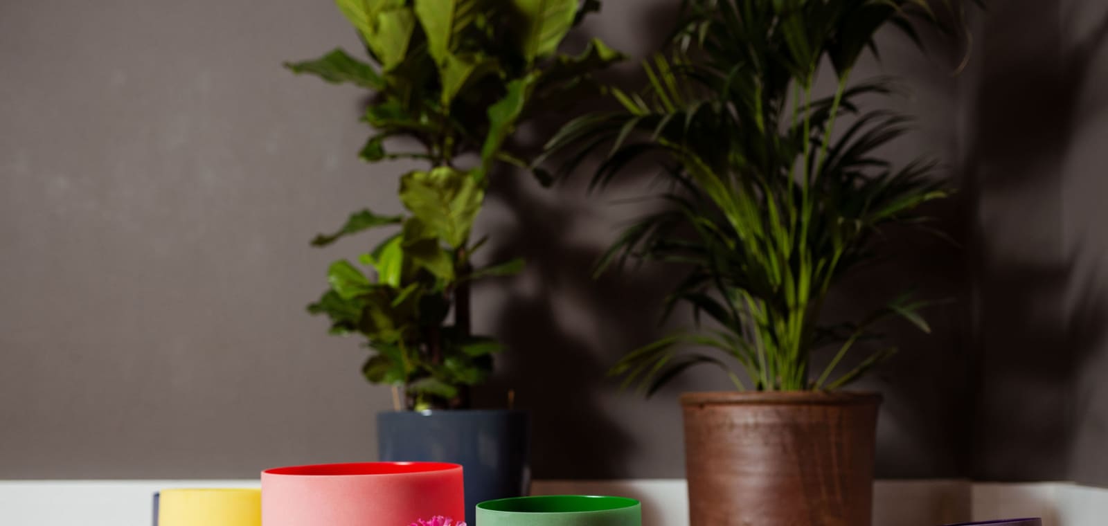 Soulful Fridays | Yin & Meditation Workshop