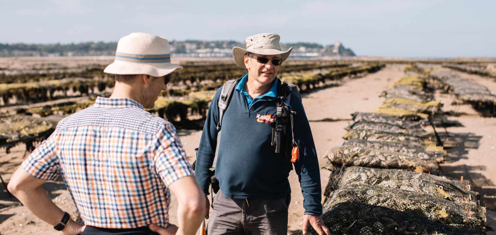 The Oyster Trail