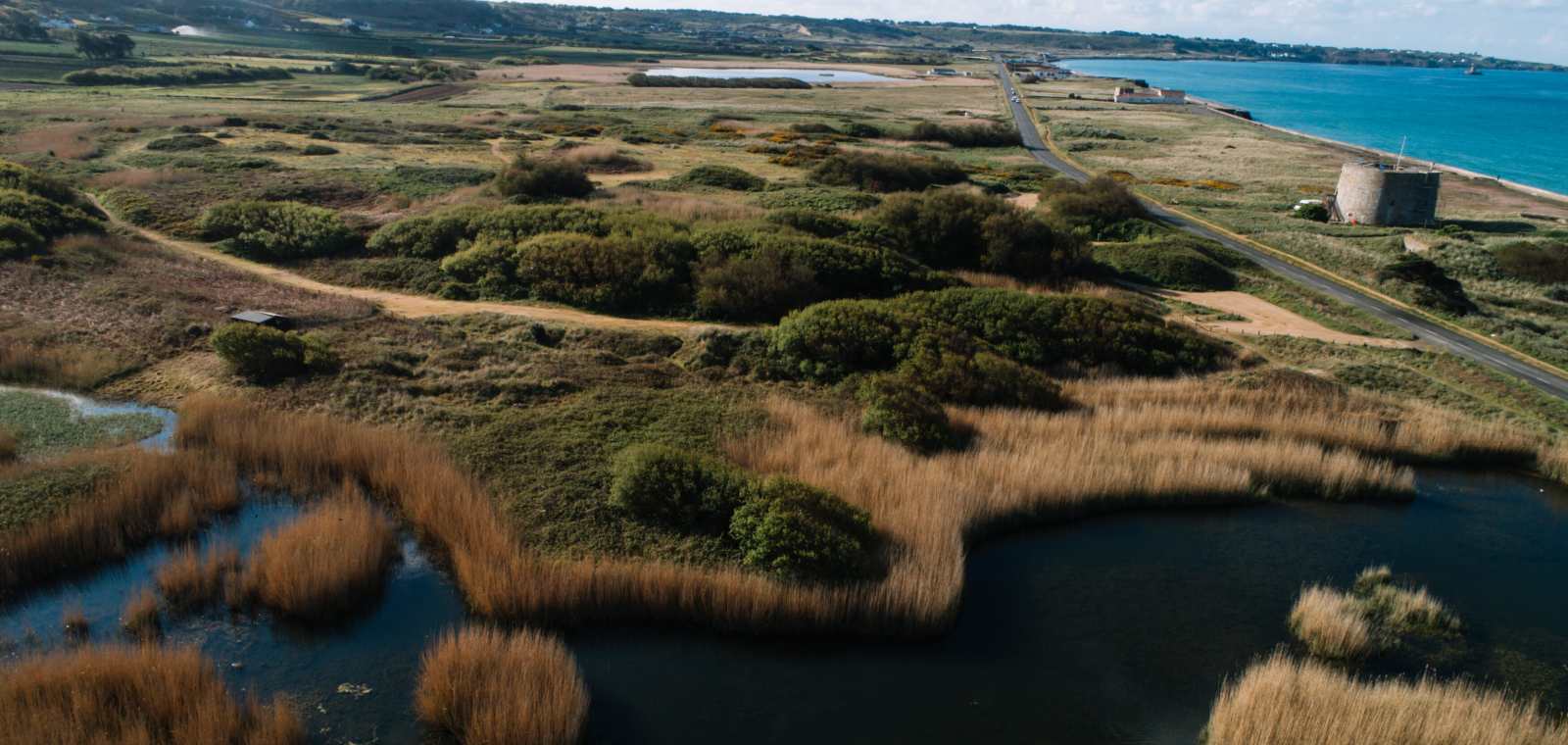 Wild & Coastal Food Foraging Experiences