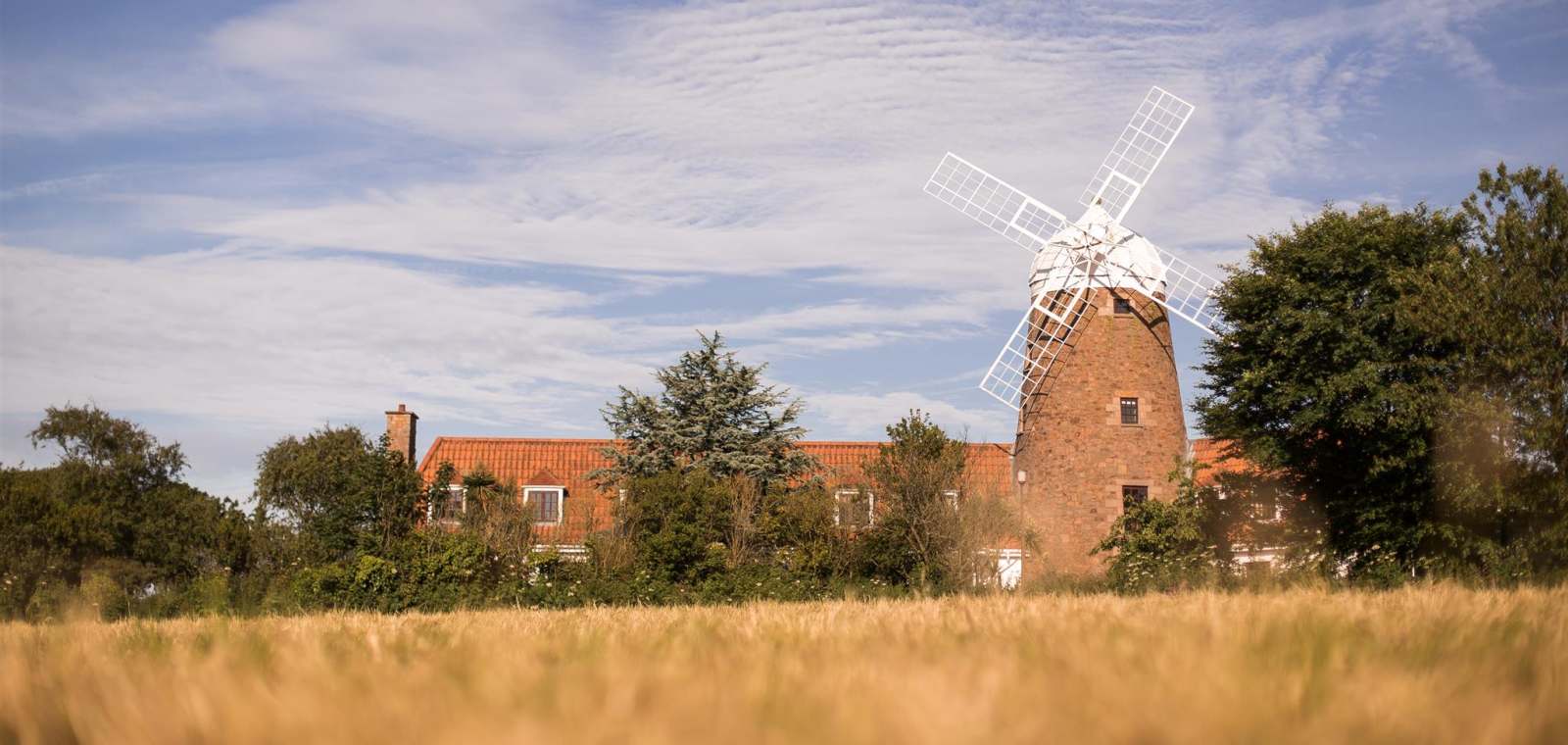 The Windmill