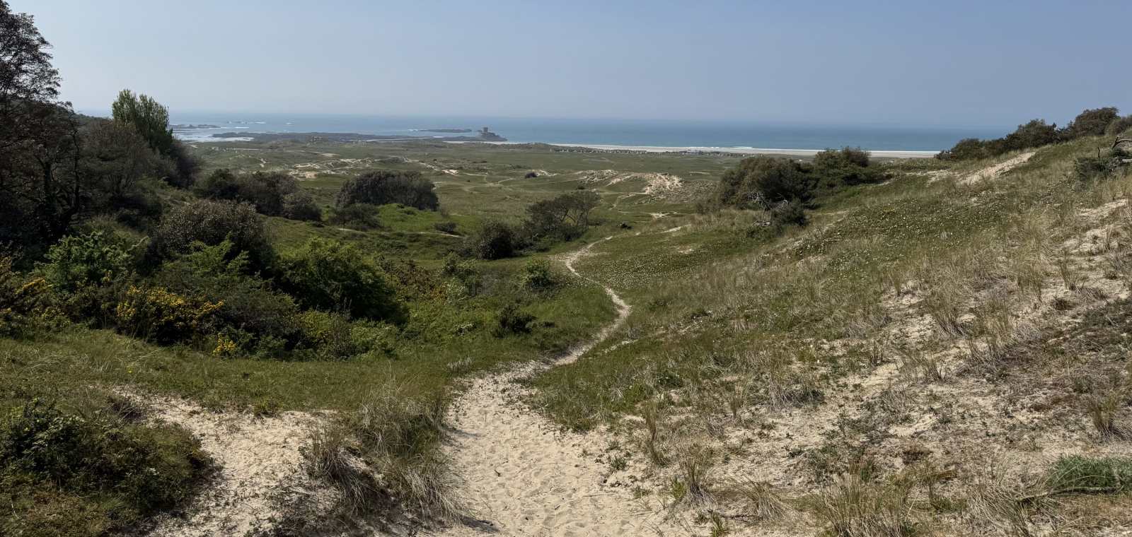 Mindful Meanders