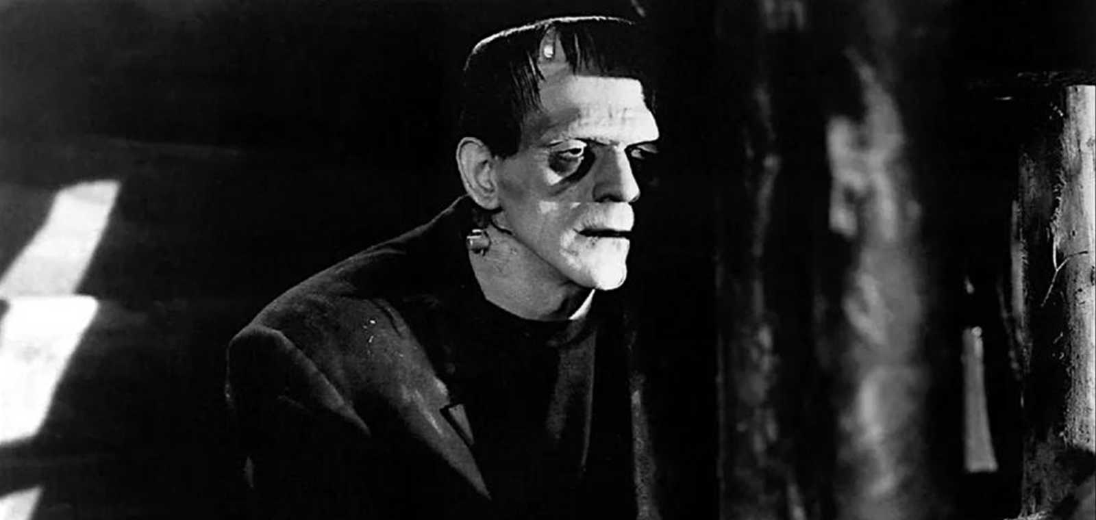 Frankenstein – More Than A Monster