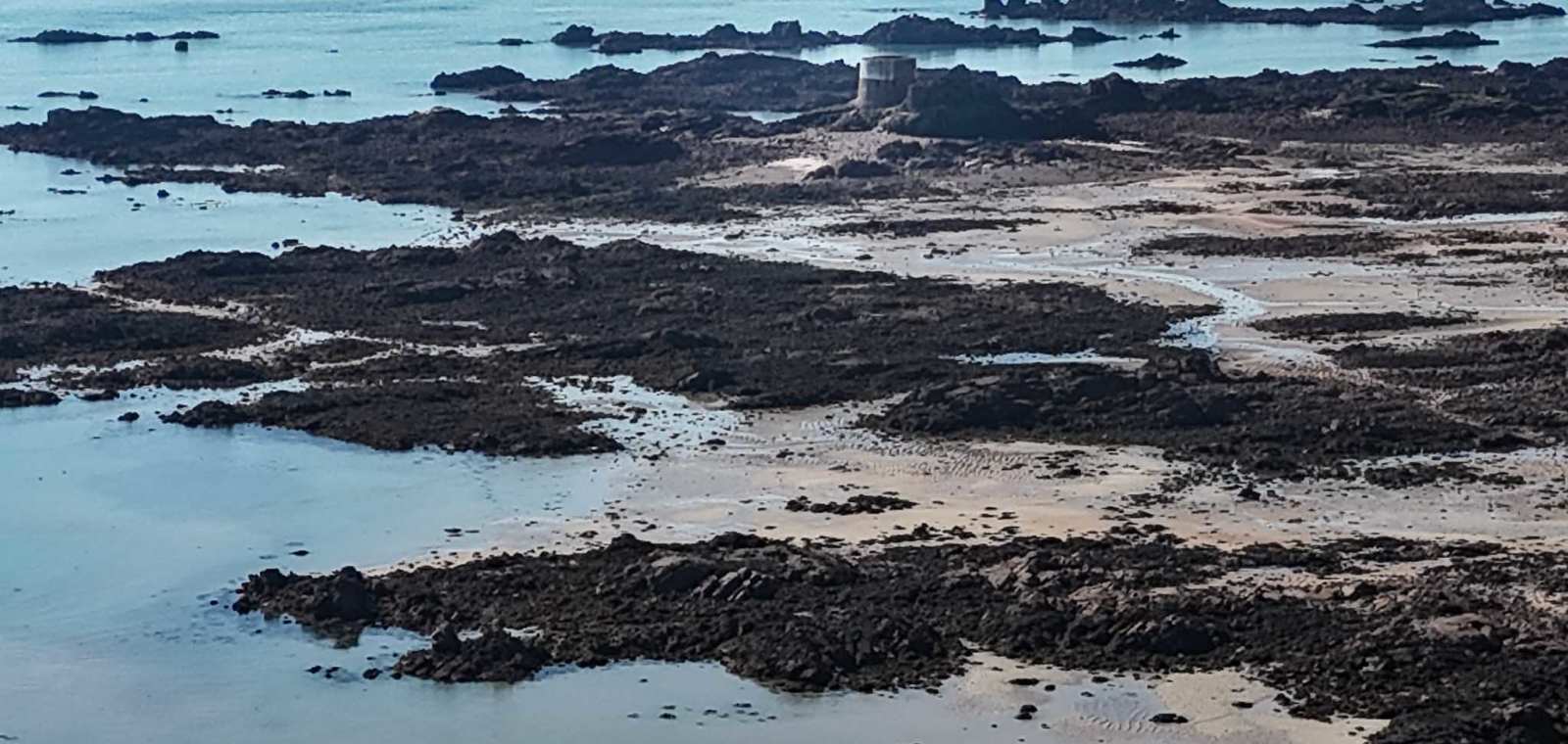 Icho to Seymour – Intertidal Walk