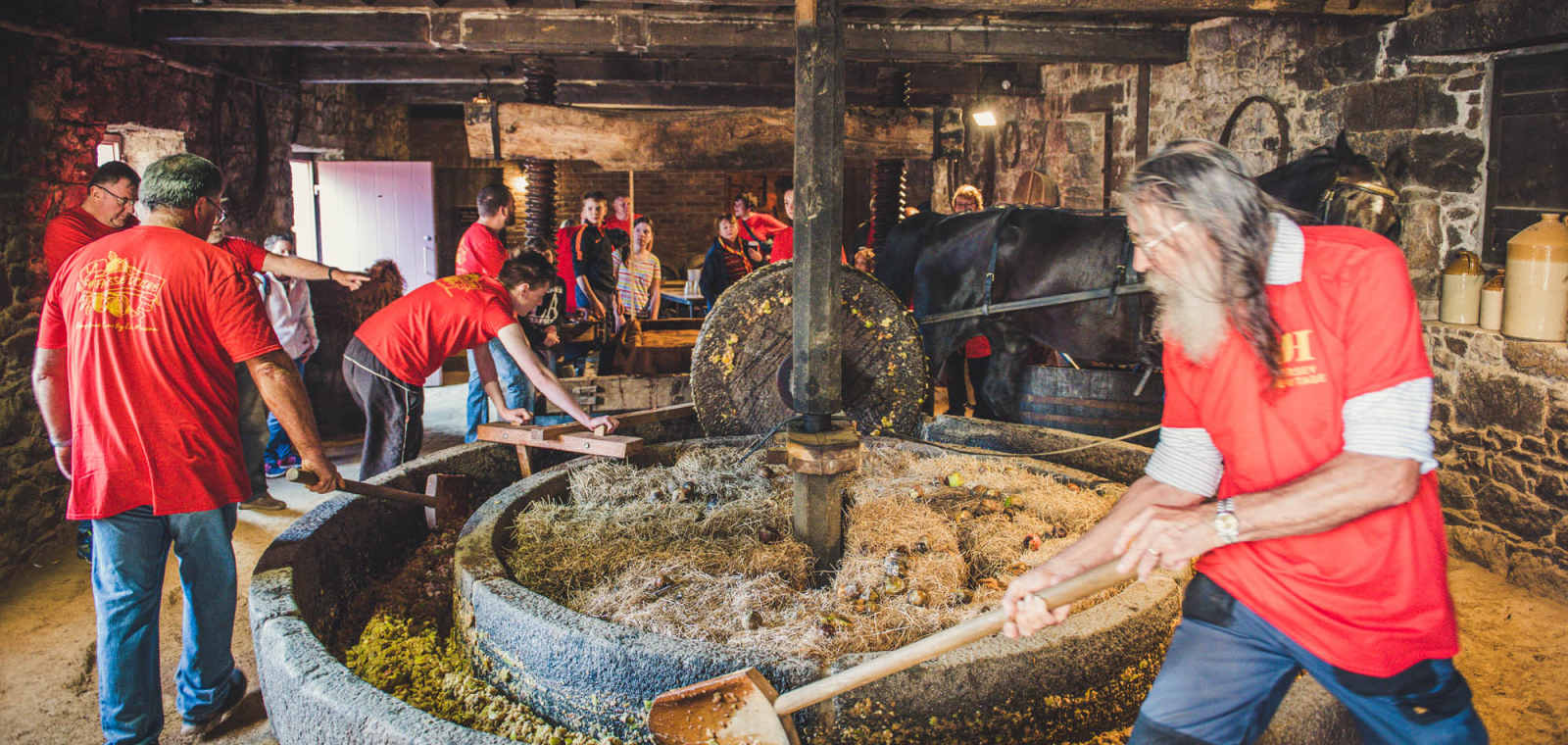 People making apple pulp in a cider barn