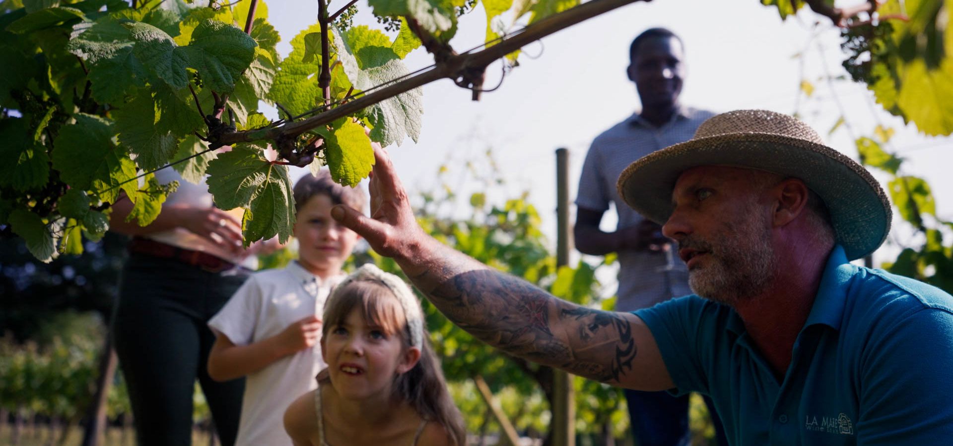 Children and wine maker looking at vines at La Mare Wine Estate