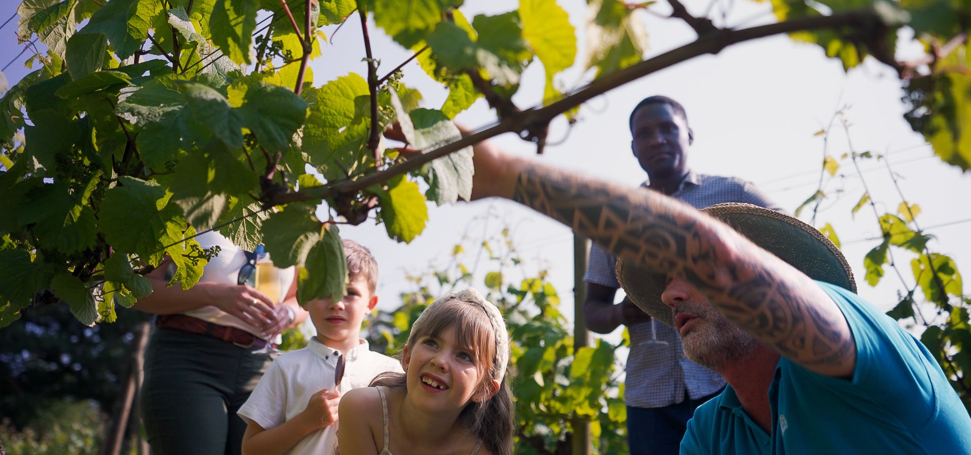 Children looking through the vines at La Mare Wine Estate
