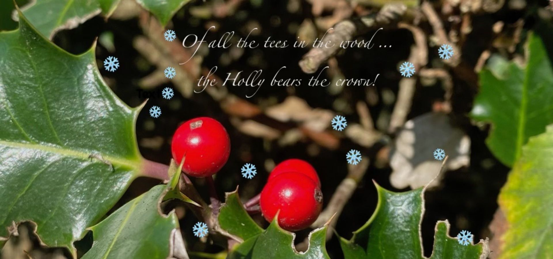 A Winter Wander at Le Petit Pre Event Visit Jersey