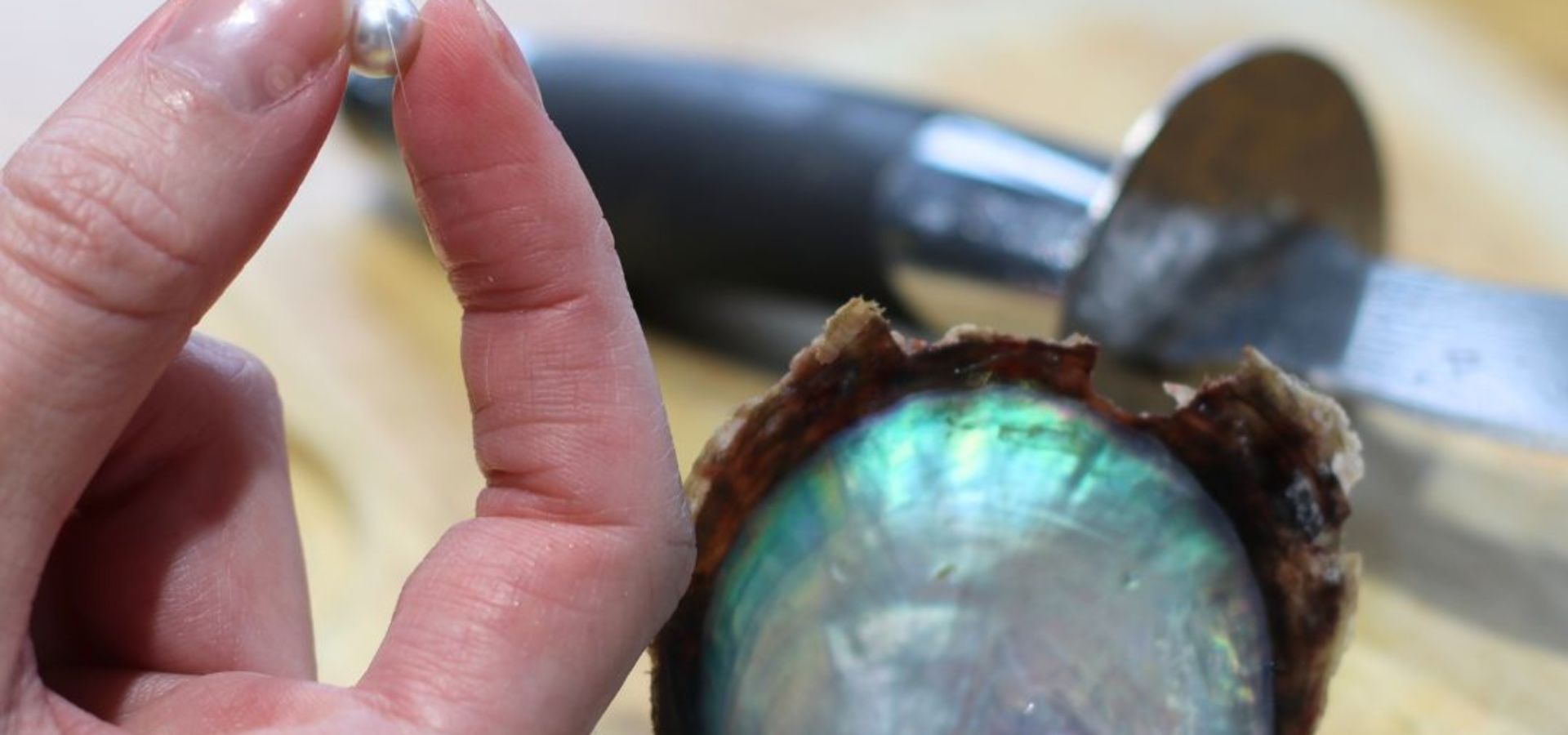 jersey pearl akoya pick a pearl