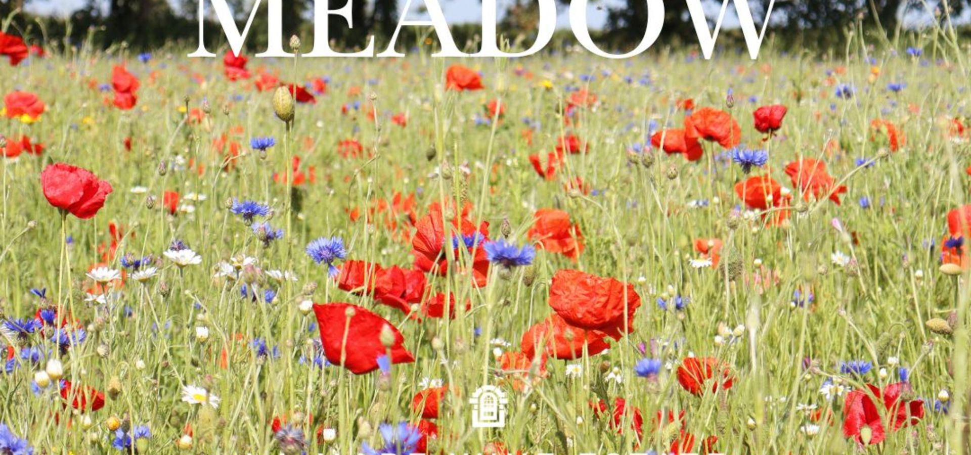 meadow at la mare