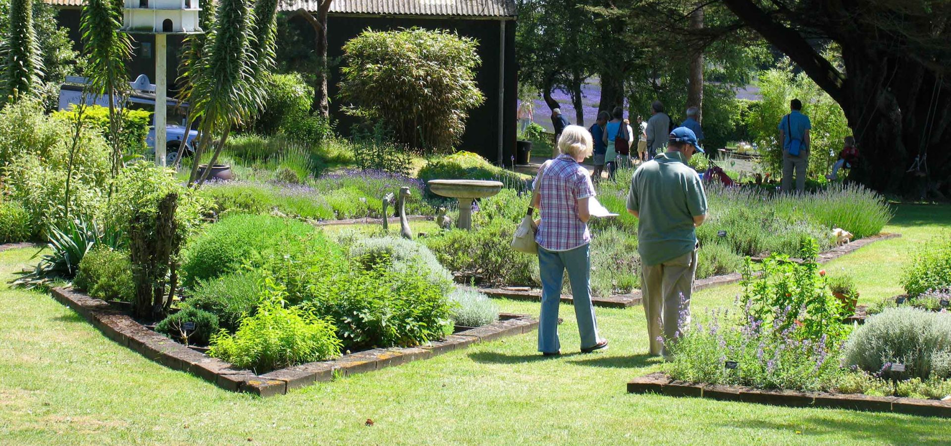 The grounds of Jersey Lavender