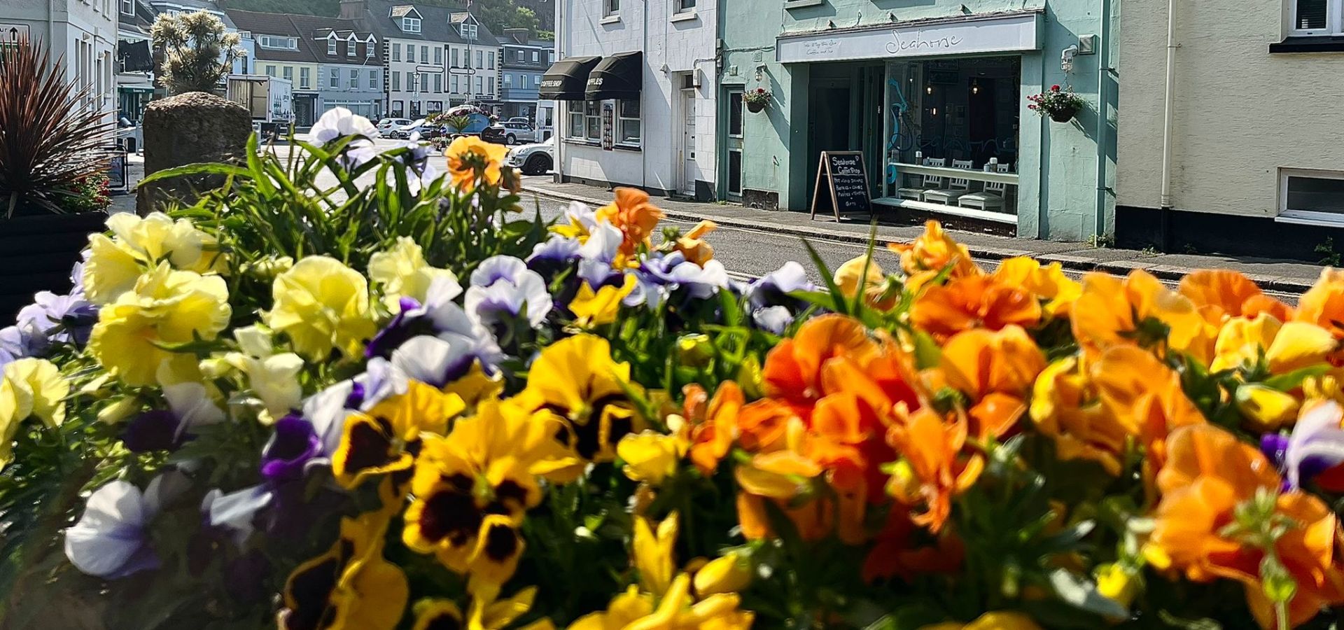 Colourful flowers in front of the green building that is the Seahorse coffee shop.