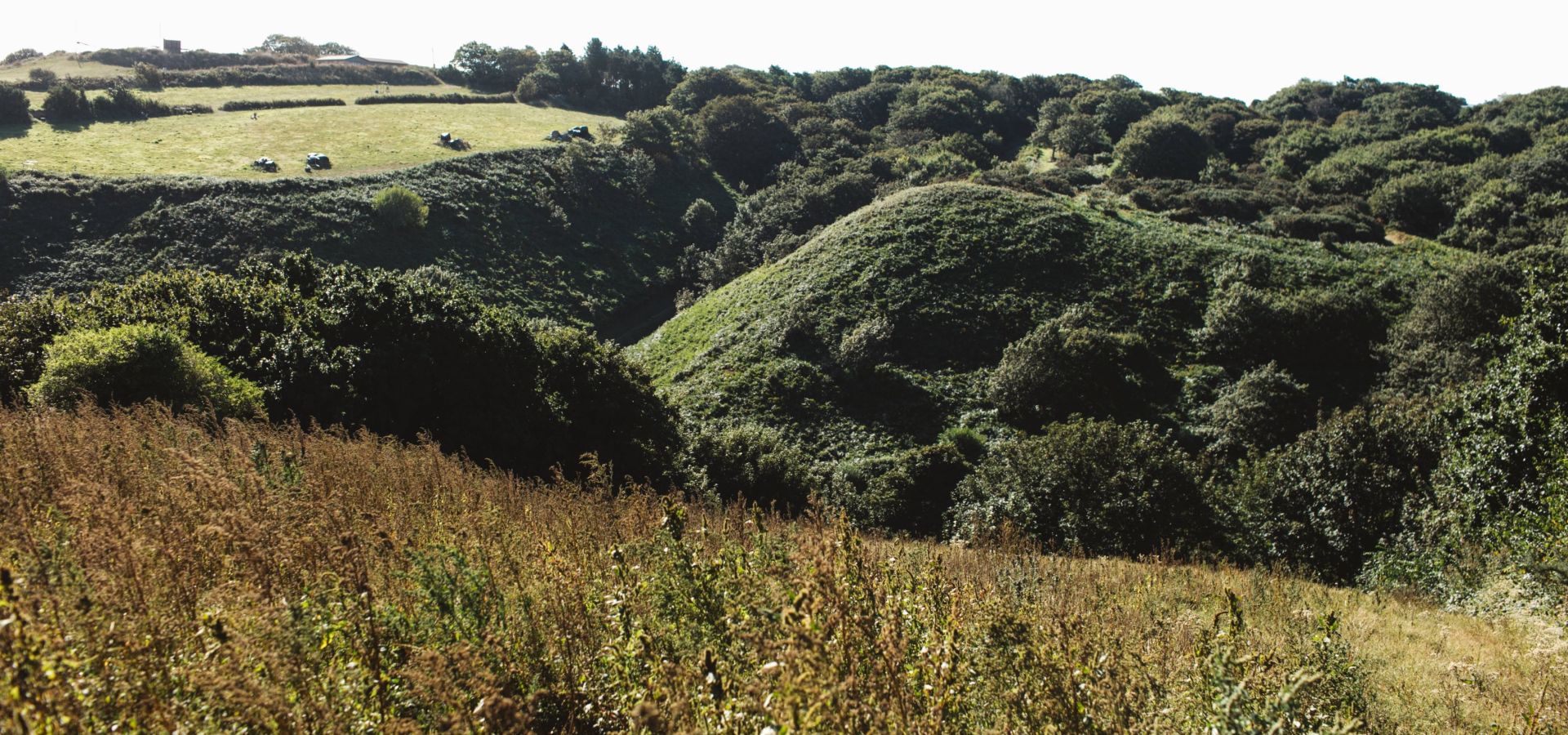 Countryside surroundings