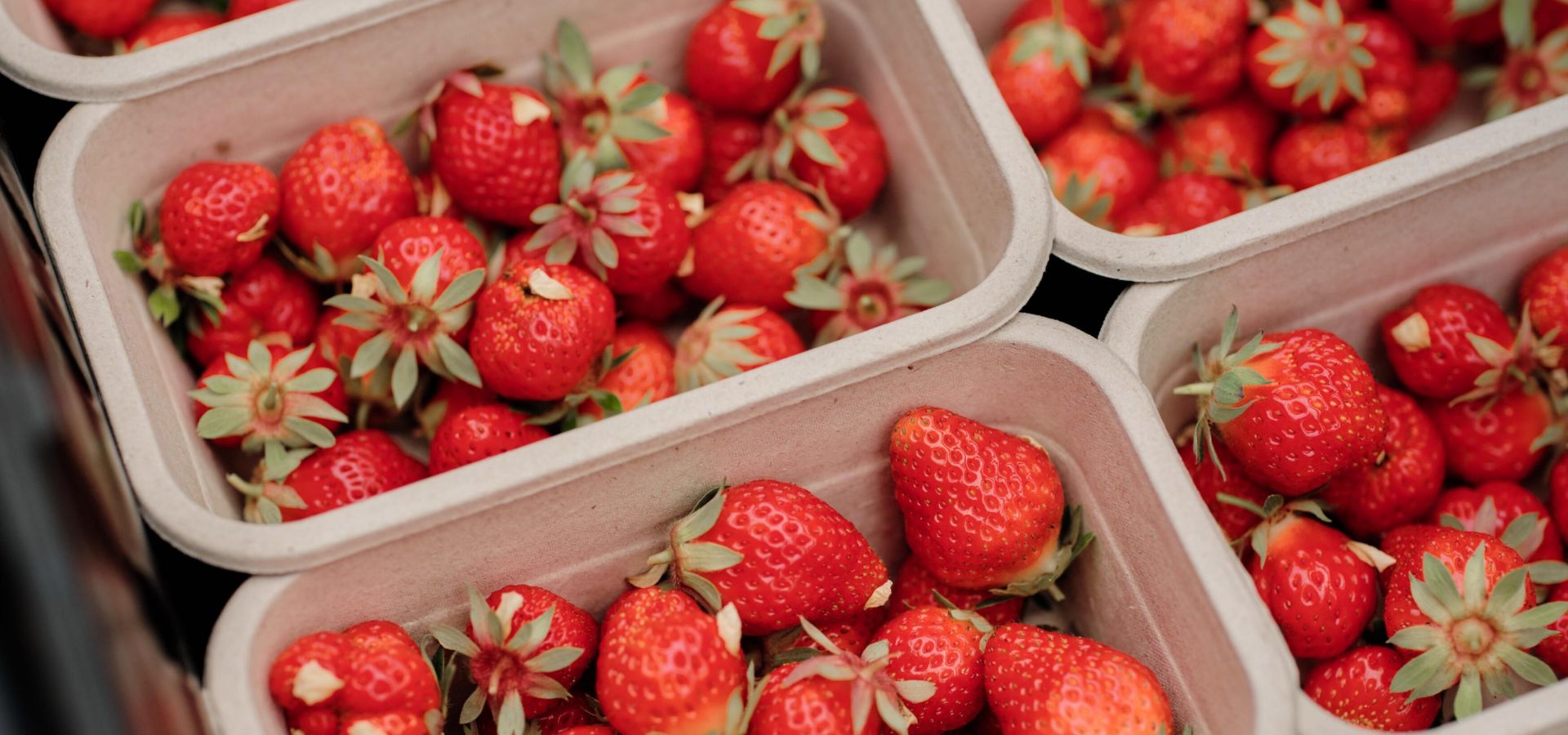 Freshly picked local strawberries in Jersey