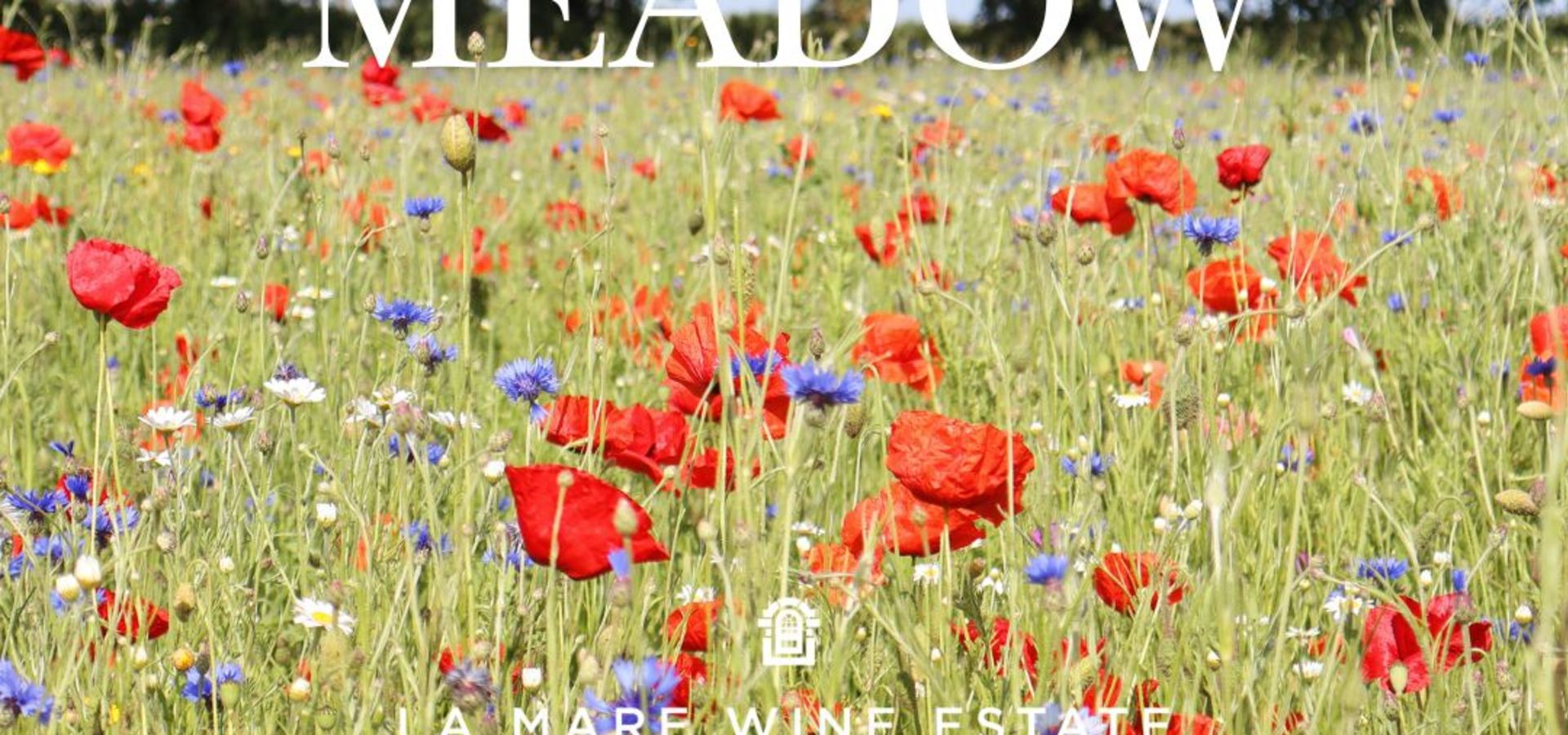 meadow at la mare