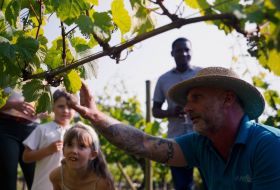 Children and wine maker looking at vines at La Mare Wine Estate