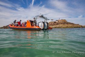 Island RIB Voyages