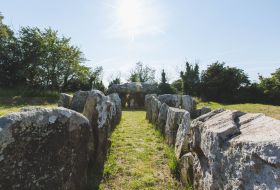 A view of the dolmen at La Pouquelaye de Faldouet